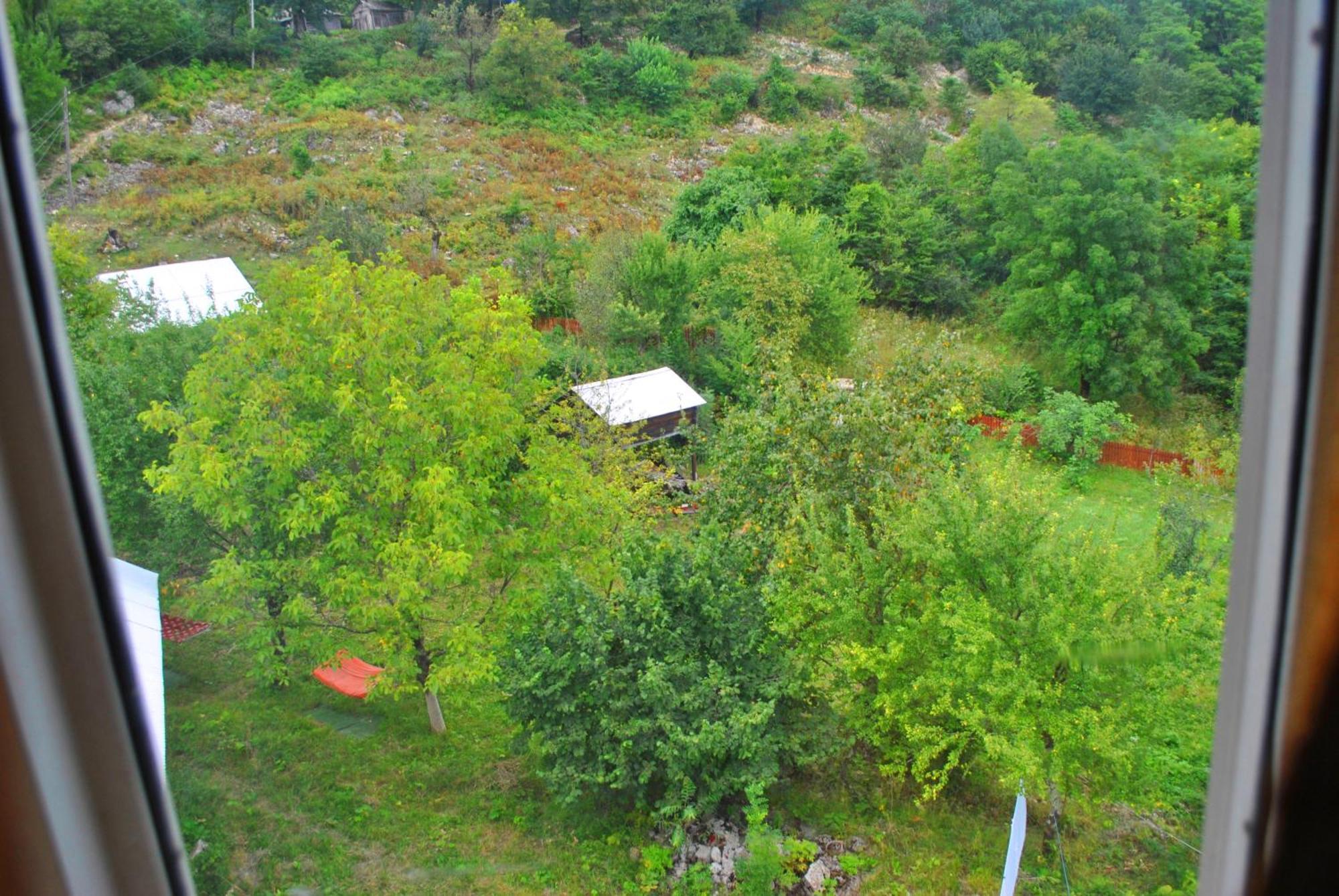 Discover Kinchkha Satsiskvilo Номер фото