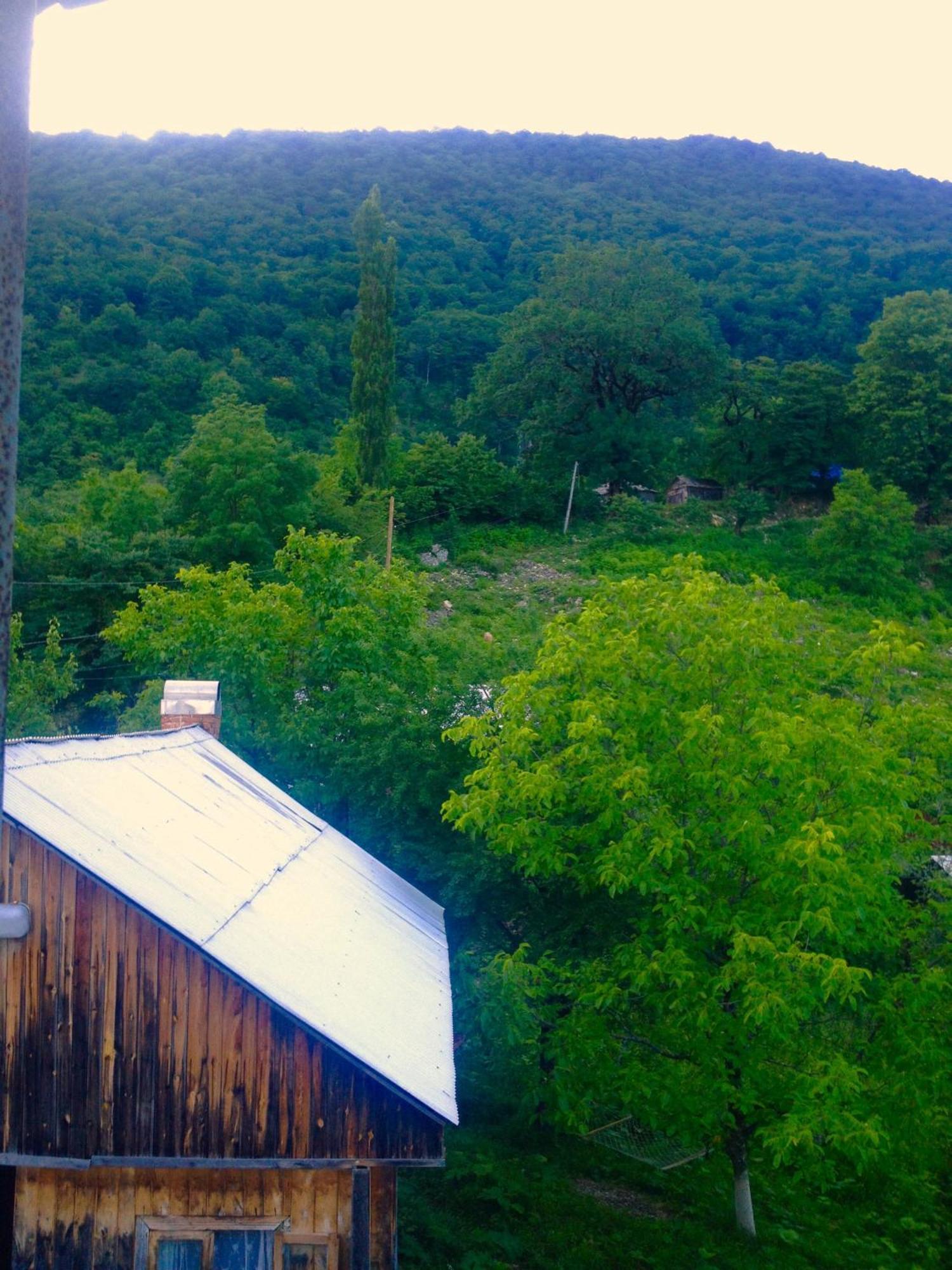 Discover Kinchkha Satsiskvilo Номер фото