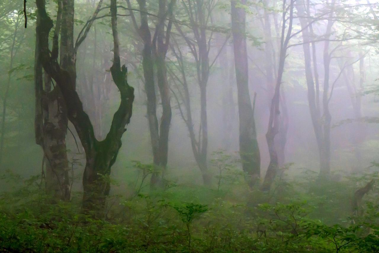 Discover Kinchkha Satsiskvilo Екстер'єр фото